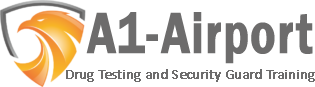Logo A1 Airport